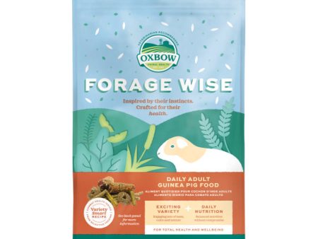 Oxbow Small Forage Wise Adult Guinea Pig 4Lb Supply