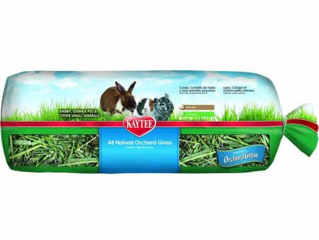 Kaytee Orchard Grass 1ea 24 oz Online Hot Sale