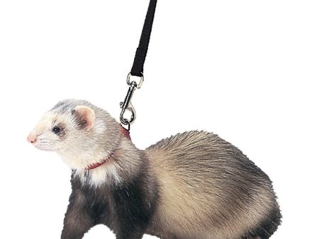 Marshall Pet Products Ferret Harness and Lead Set Blue 1ea Discount