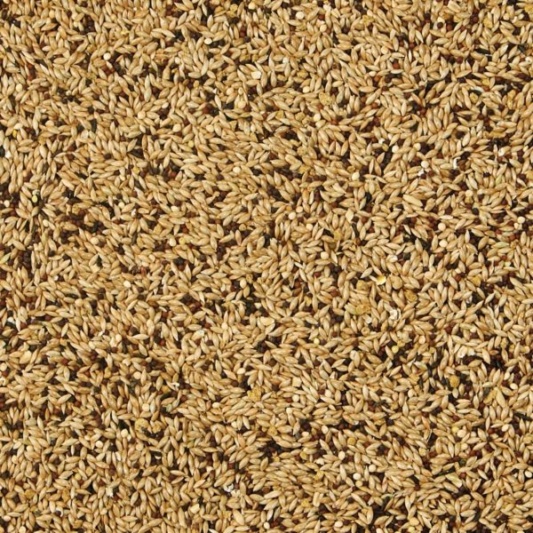 Kaytee Supreme Canary & Finch Food 1ea 20 lb Online Sale