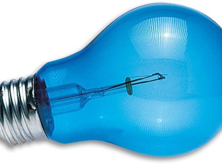 Zoo Med Daylight Blue Reptile Bulb Blue 1ea 60 W Discount