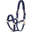 Eskadron Halster Heritage Faux Leather Plait True Blue Hot on Sale