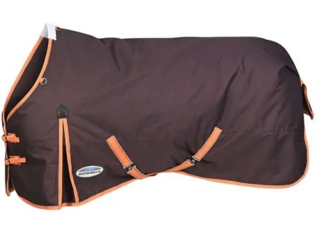 Weatherbeeta Comfitec Essential Standard Neck Medium 200g Plum Orange Grey Fashion