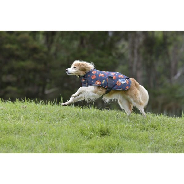 Weatherbeeta Hondendeken Comfitec Premier Free Parka Medium Squirrel Print Online now