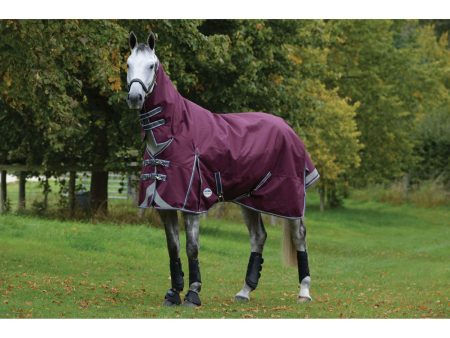 Weatherbeeta Winterdeken Comfitec Plus Dynamic II Combo Neck Medium 220g Maroon Grijs Wit Online