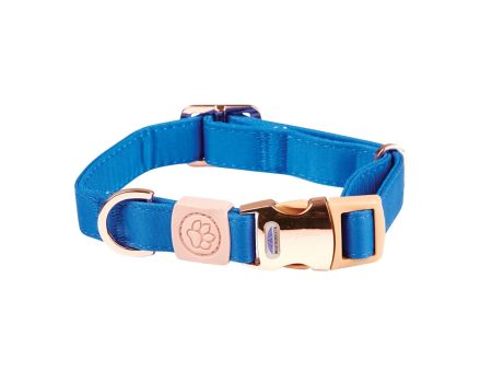 Weatherbeeta Dog Collar Elegance Blue Online