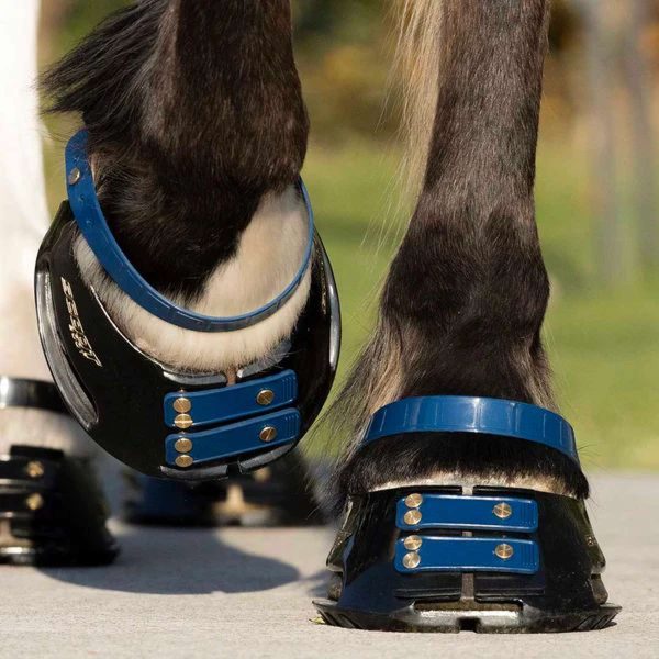 Scoot Boots Pastern Strap Navy Online Sale