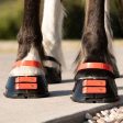 Scoot Boots Pastern Strap Hibiscus Supply