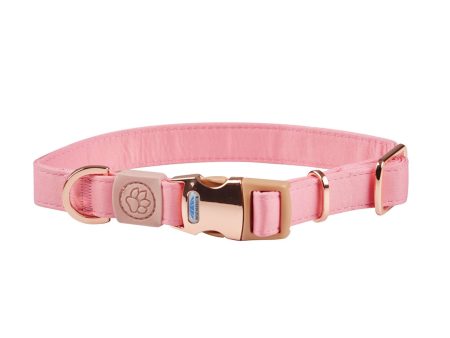 Weatherbeeta Dog Collar Elegance Pink Sale