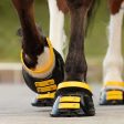 Scoot Boots Pastern Strap Marigold For Sale