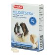 Beaphar Milquestra Hond Fashion